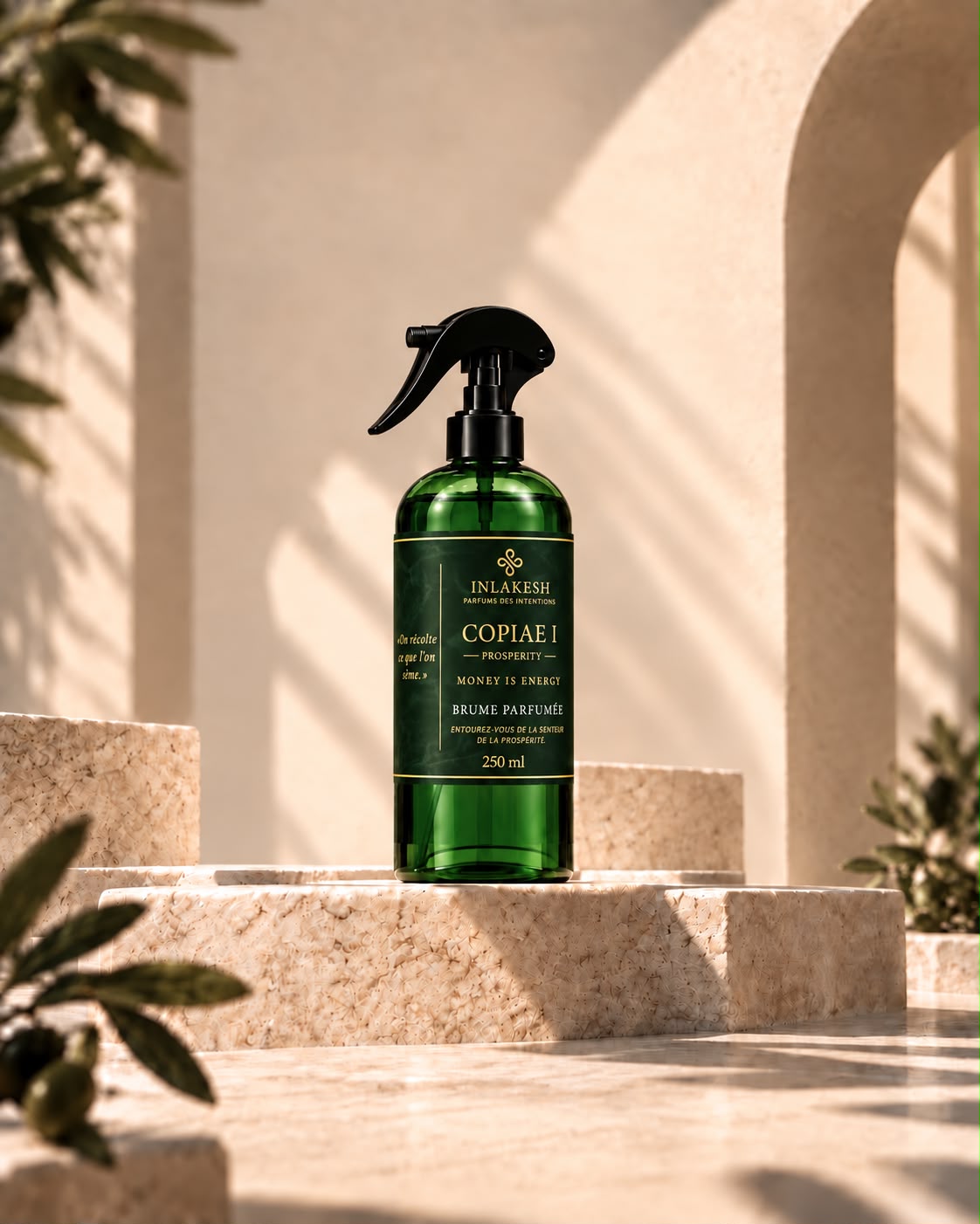 Coffret Copiae I – Prosperity : brume 250 ml